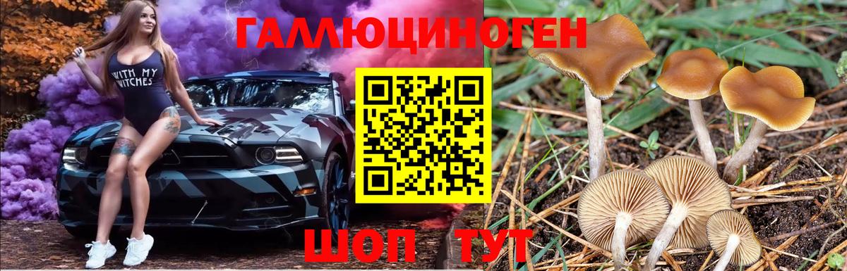 Галлюциногенные грибы MAGIC MUSHROOMS  Вход с VPN  что такое наркотик  Каспийск 